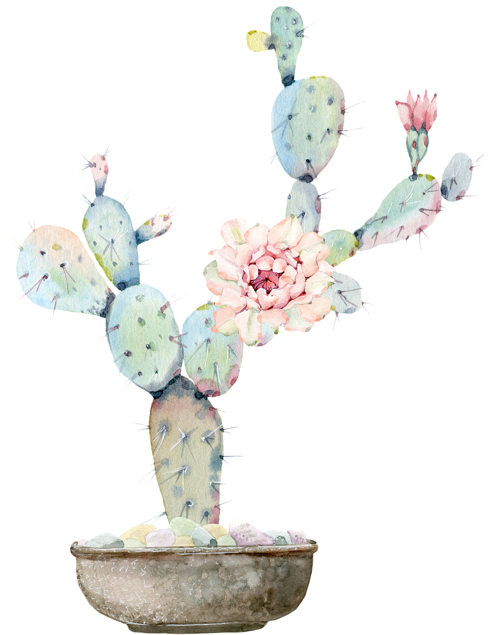 Welches ist das beste Blumentopf Untersetzer?