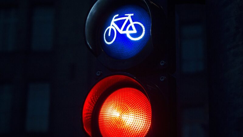 Die besten Fahrradhelme für Herren im Vergleich